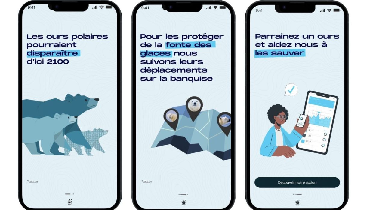 Copie de Projet WWF_page-0048